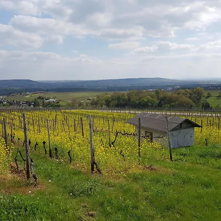 Winzerhaus Johannisberg - Weingut Michael Gietz 가이젠하임