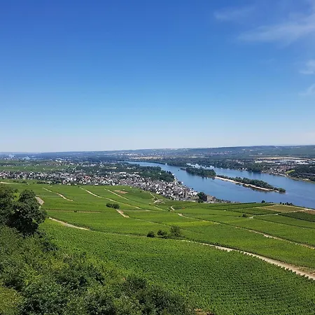 호텔 Winzerhaus Johannisberg - Weingut Michael Gietz *