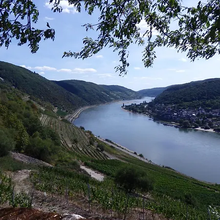 호텔 Winzerhaus Johannisberg - Weingut Michael Gietz 가이젠하임