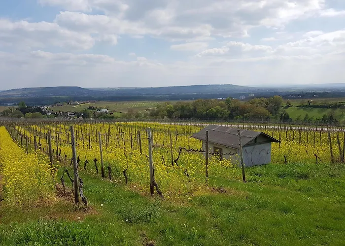 Winzerhaus Johannisberg - Weingut Michael Gietz Geisenheim