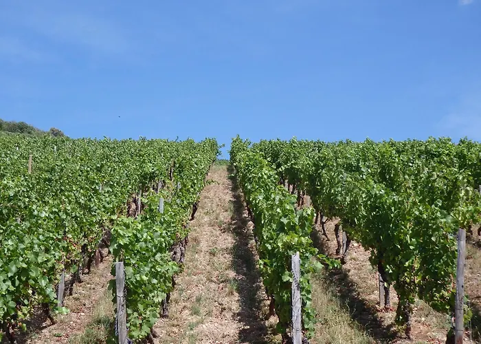 Hotel Winzerhaus Johannisberg - Weingut Michael Gietz *