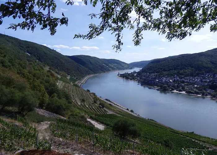 Hotel Winzerhaus Johannisberg - Weingut Michael Gietz Geisenheim